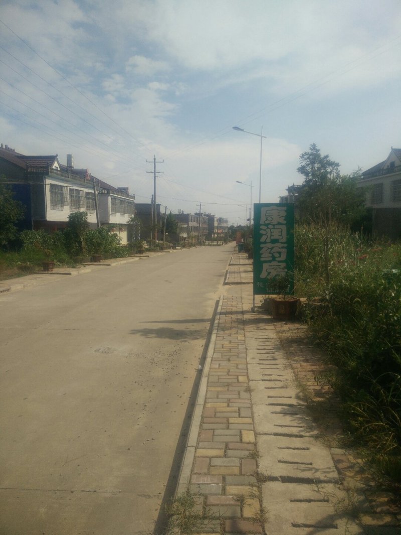 太湖县货运部：物流新变化中的角色与挑战